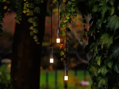 Lightpro Aussenbeleuchtung Dekoration