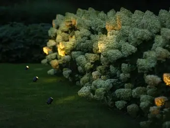 Lightpro Strahler Aussenbeleuchtung