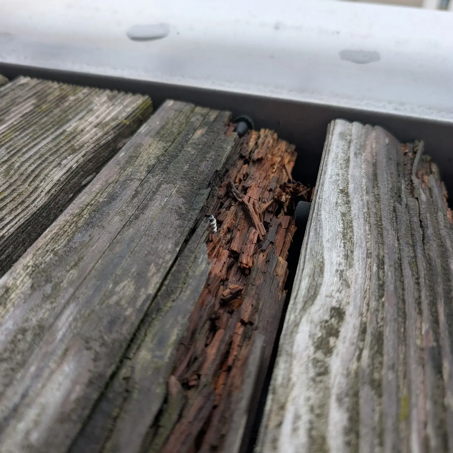 Holzterrasse verfault