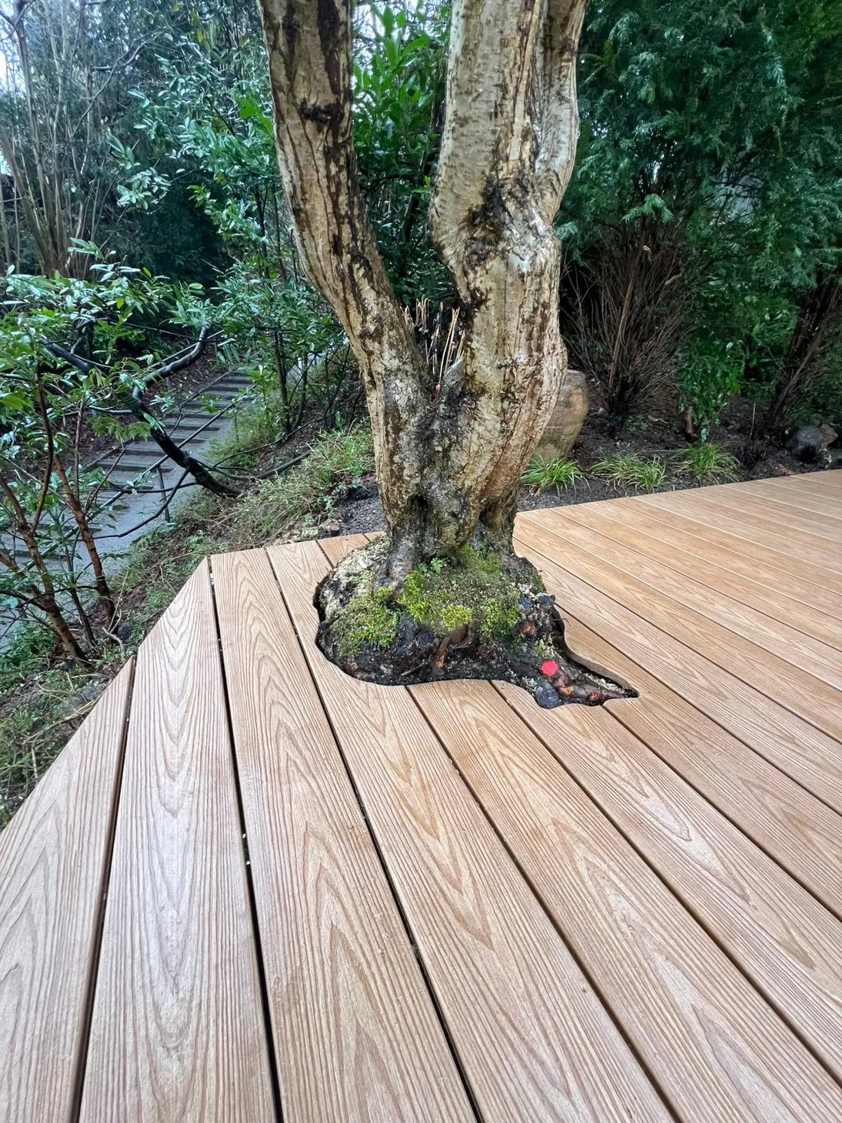 WPC Terrasse Natur Plus Cedar