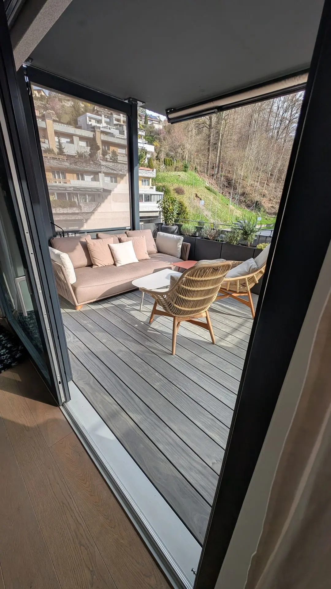 Accoya Grey