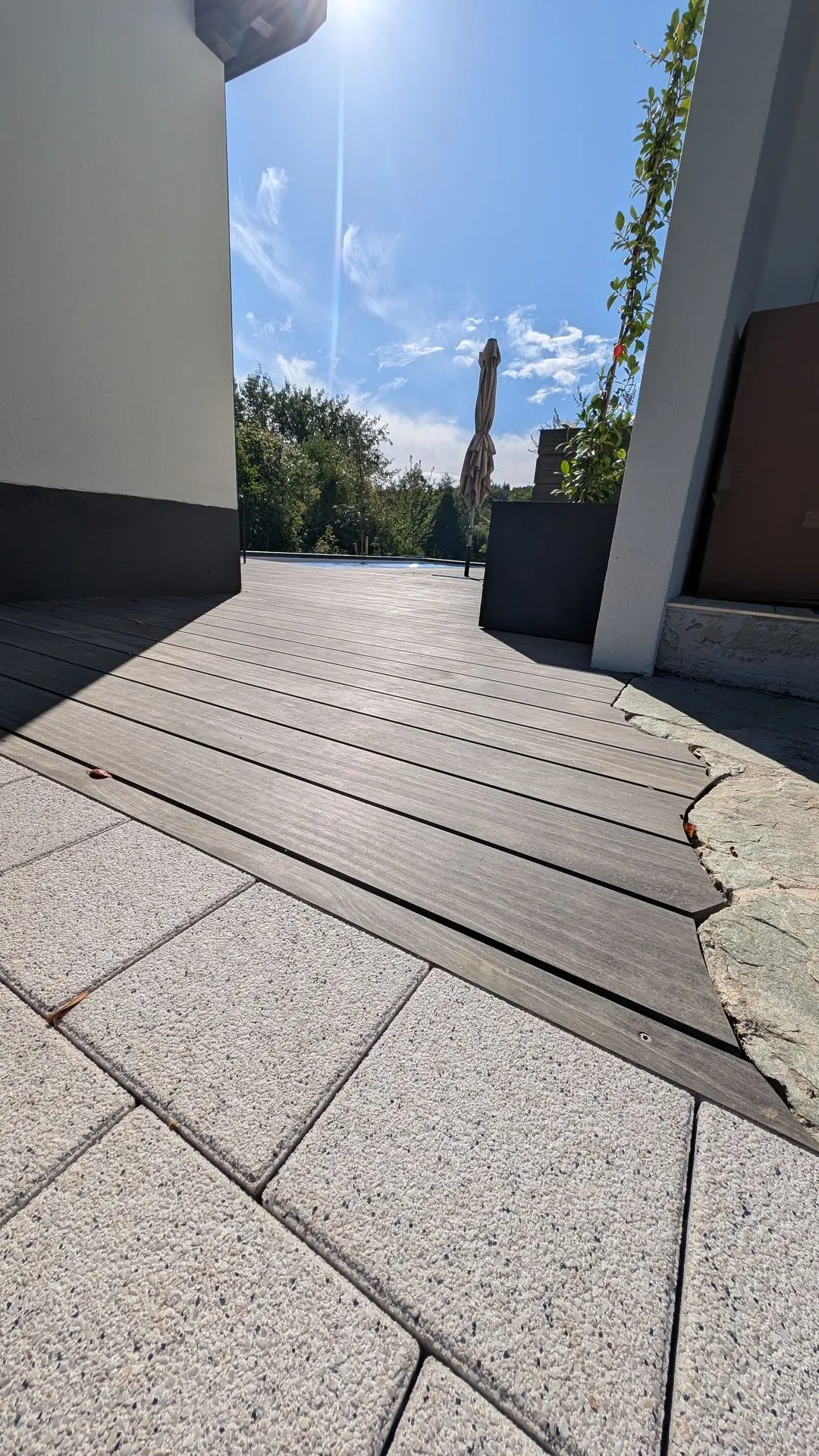 Accoya Grey