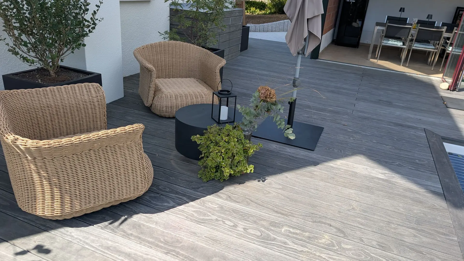 Accoya Grey