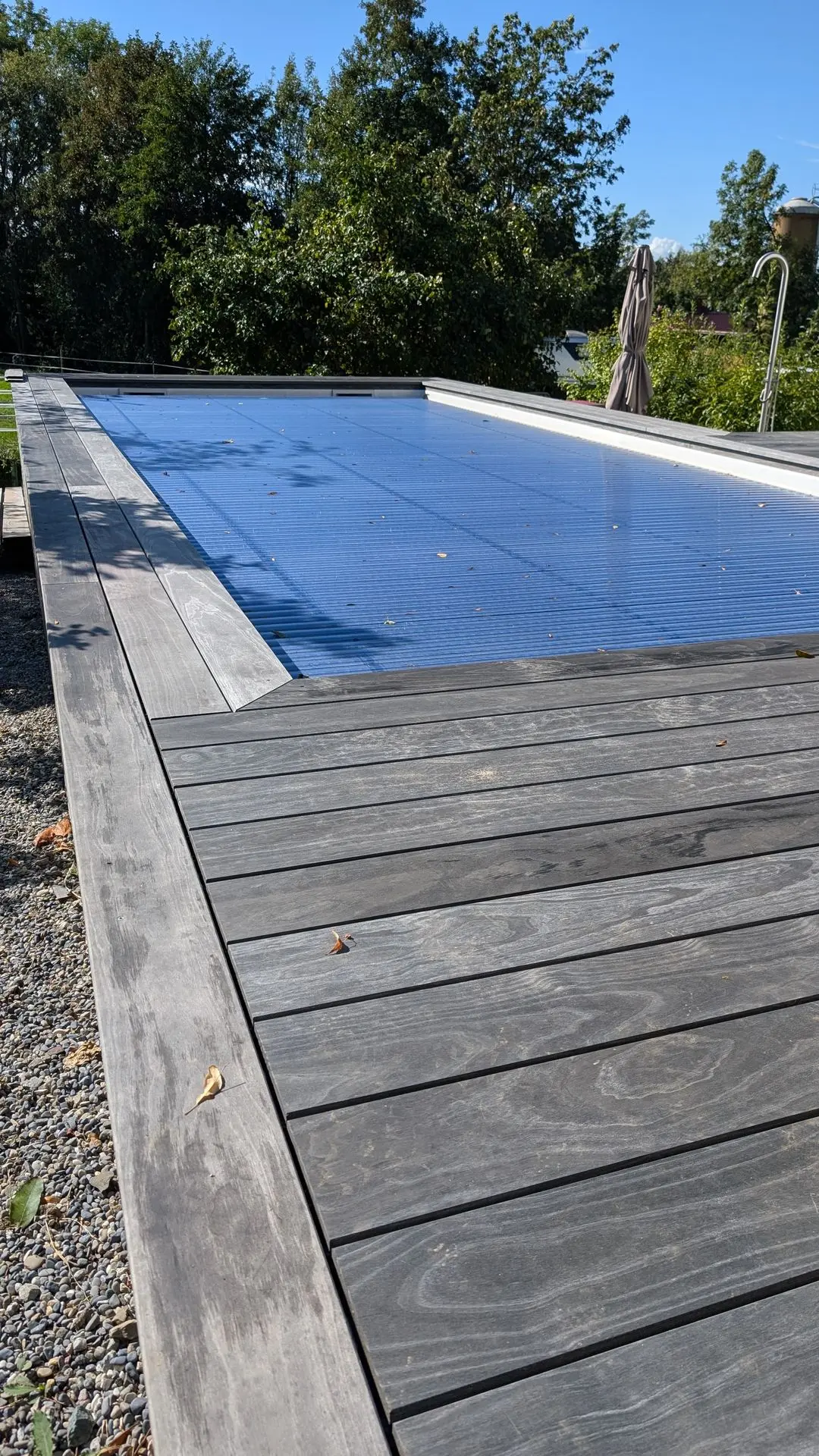 Accoya Grey Poolumrandung