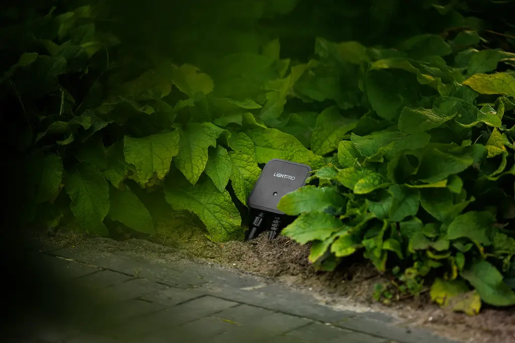 Switch Smart 12V (WLAN) 2.webp