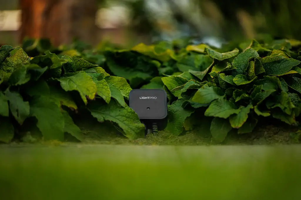 Switch Smart 12V (WLAN) 1.webp