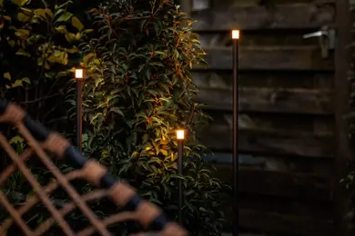 Erba 12V (Satz von 3) 3.webp