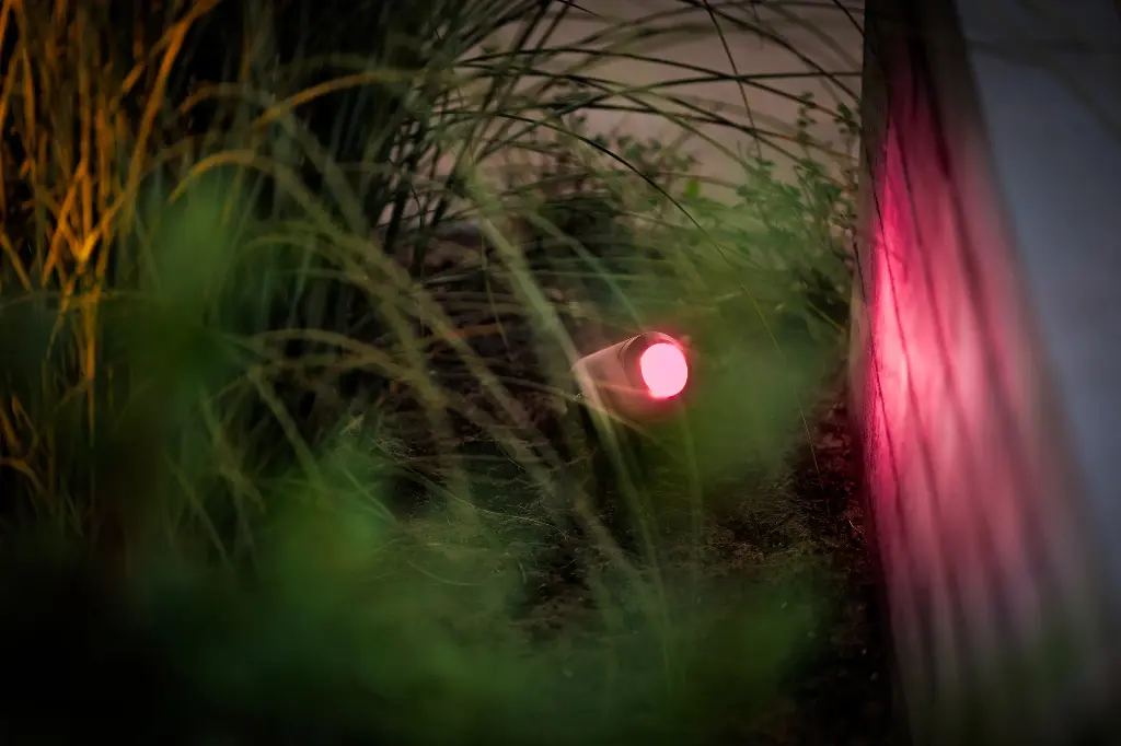 Castor Smart 10.webp